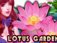 Lotus Garden