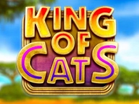 King of Cats