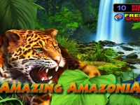 Amazing Amazonia