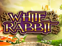 White Rabbit