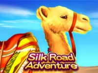 Silk Road Adventure