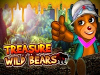 Treasure of the Wild Bears