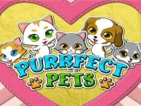 Purrfect Pets