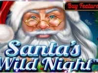 Santa’s Wild Night