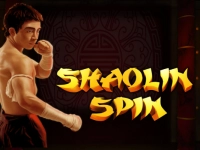 Shaolin Spin