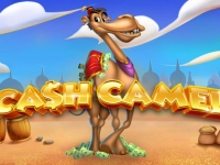 Cash Camel