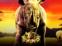 Rhino