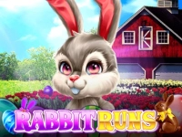 Rabbit Runs