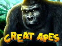 Great Apes