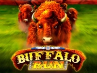 Buffalo Run