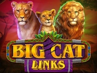 Big Cat Links