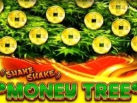 Shake Shake Money Tree