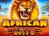 African Cats