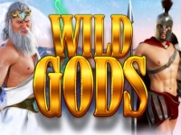 Wild Gods