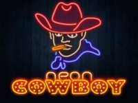 Neon Cowboy