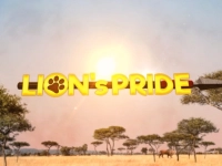 Lion's Pride