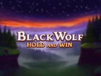 Black Wolf