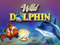 Wild Dolphin