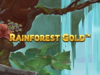 Rainforest Gold