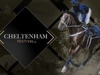 Virtual! Horse Racing at Cheltenham Festival