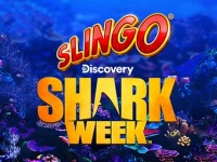 Slingo Shark Week