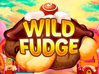 Wild Fudge