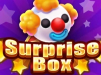 Surprise Box