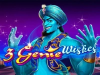 3 Genie Wishes